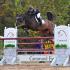 Brownland Farm Autumn Horse Shows